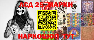 шишки Кандалакша