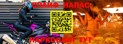 шишки Кандалакша