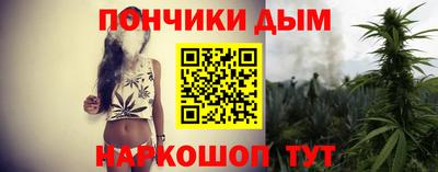 шишки Кандалакша