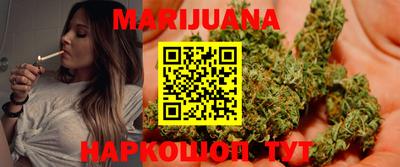шишки Кандалакша