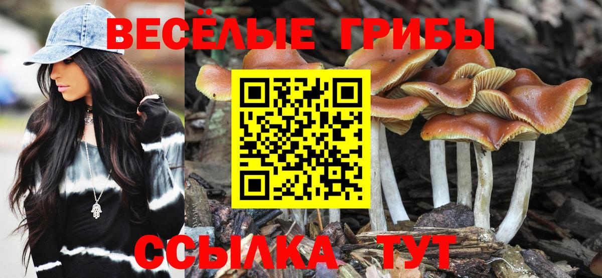 Галлюциногенные грибы мицелий Балашов